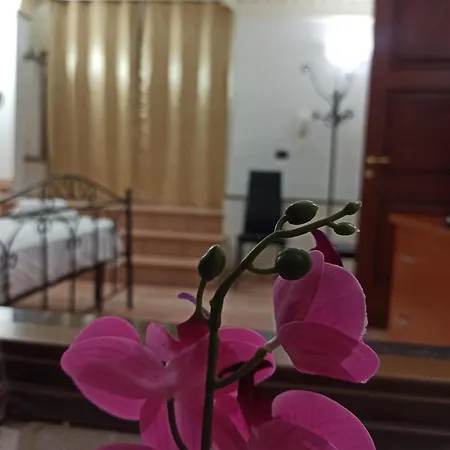 Meraviglie Salentine Nyaraló *