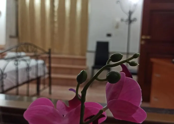 Meraviglie Salentine Дом отдыха *